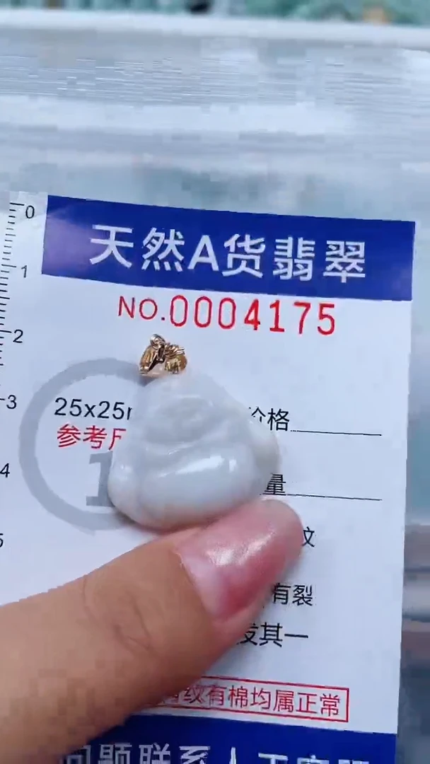 翡翠未镶嵌吊坠(不含链)1