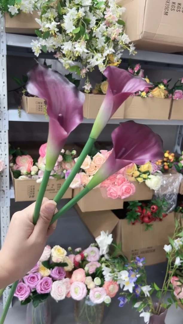 3枝紫色马蹄莲