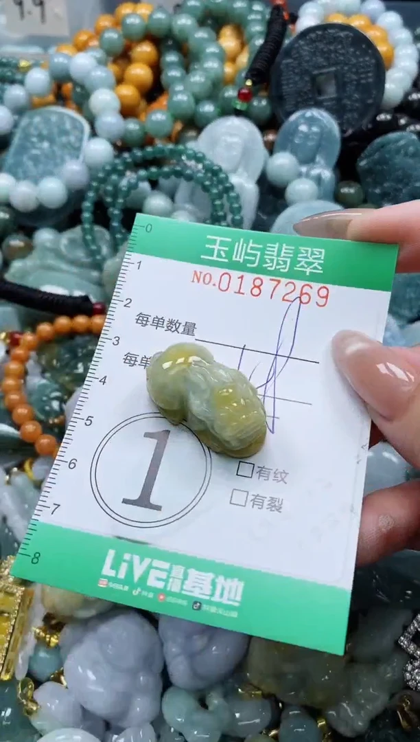 翡翠未镶嵌颈饰闪购0187269