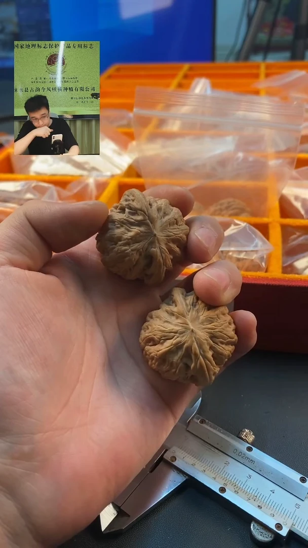 文玩核桃精品对铁锤40尺