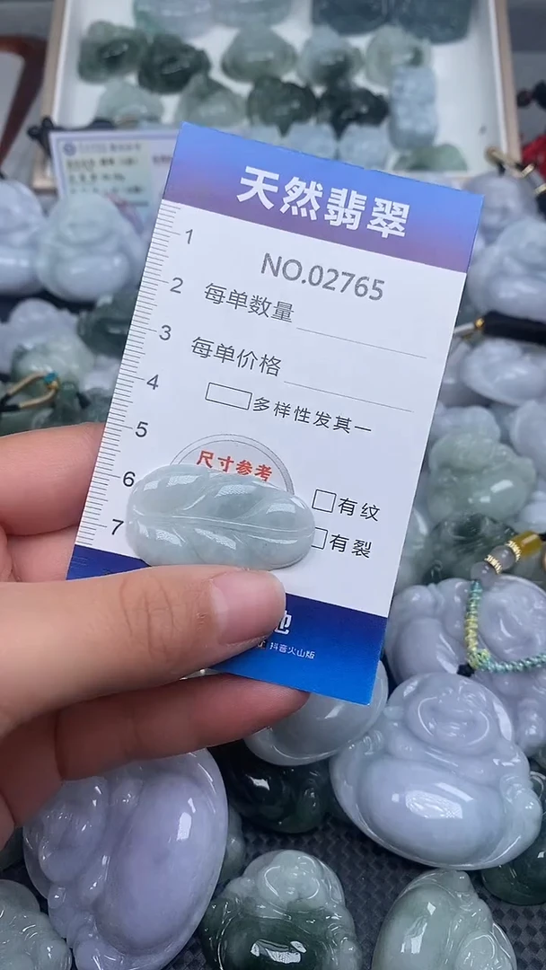 颈饰未镶嵌翡翠纯天然A货翡翠2765