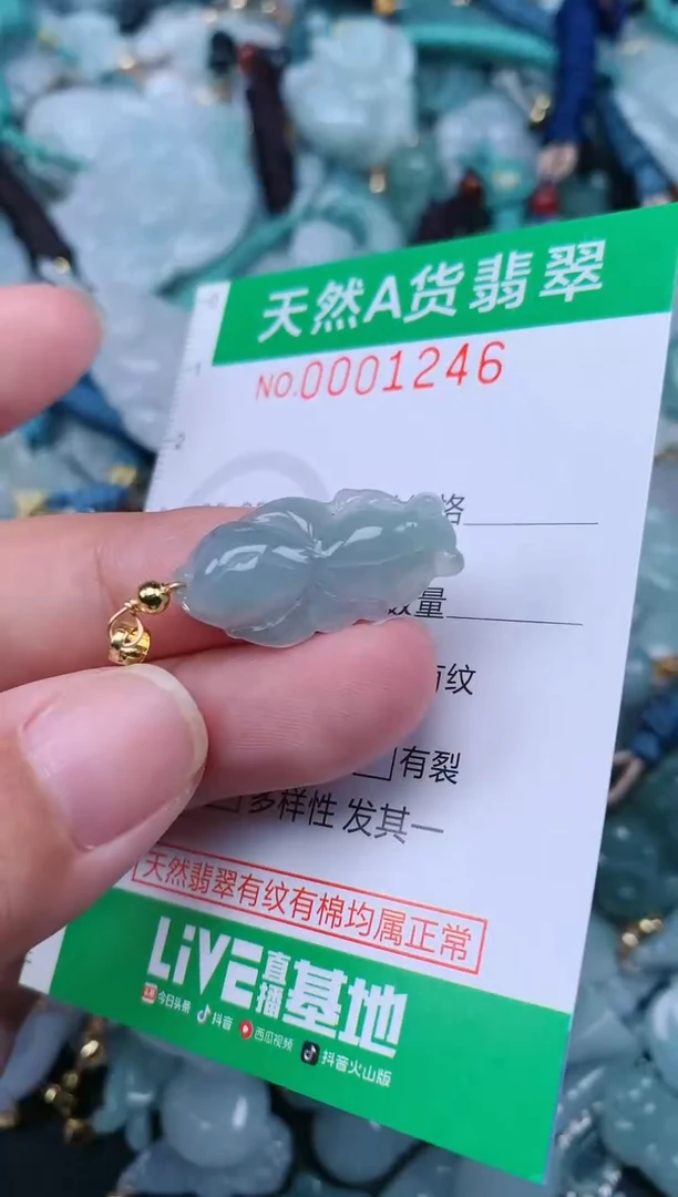 翡翠未镶嵌颈饰.0001246