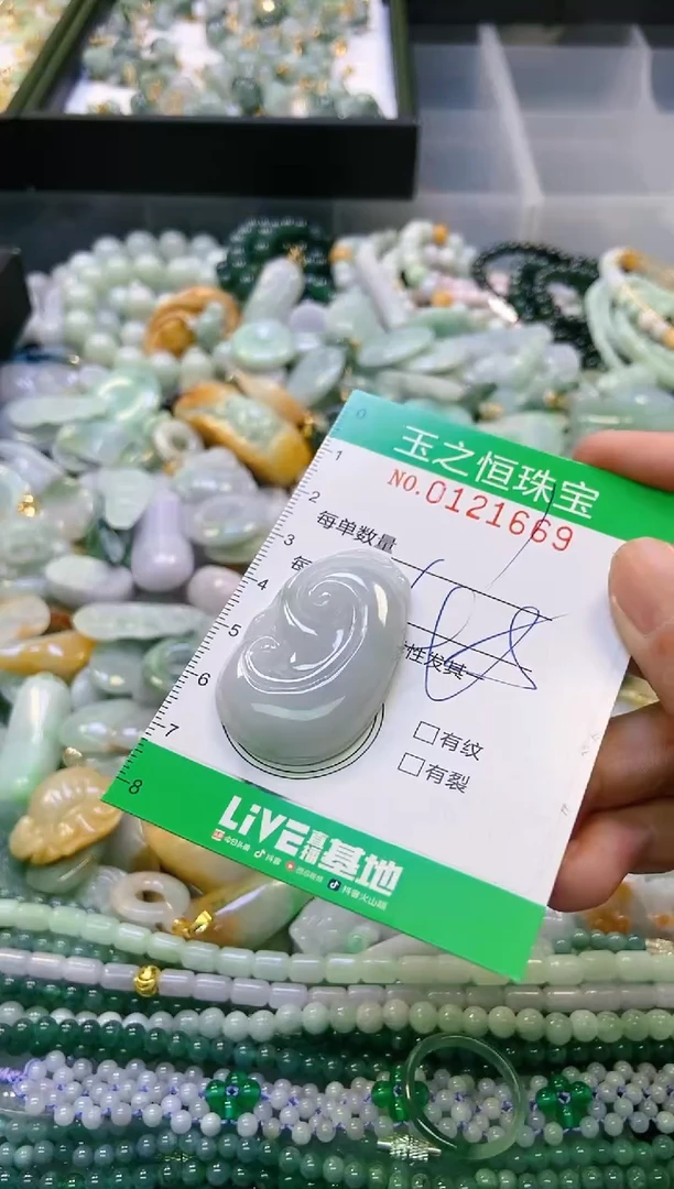 翡翠未镶嵌颈饰闪购0121669