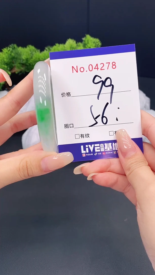 未镶嵌手镯翡翠4278