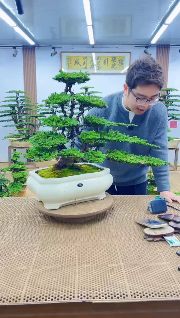 无花朵0000000000000