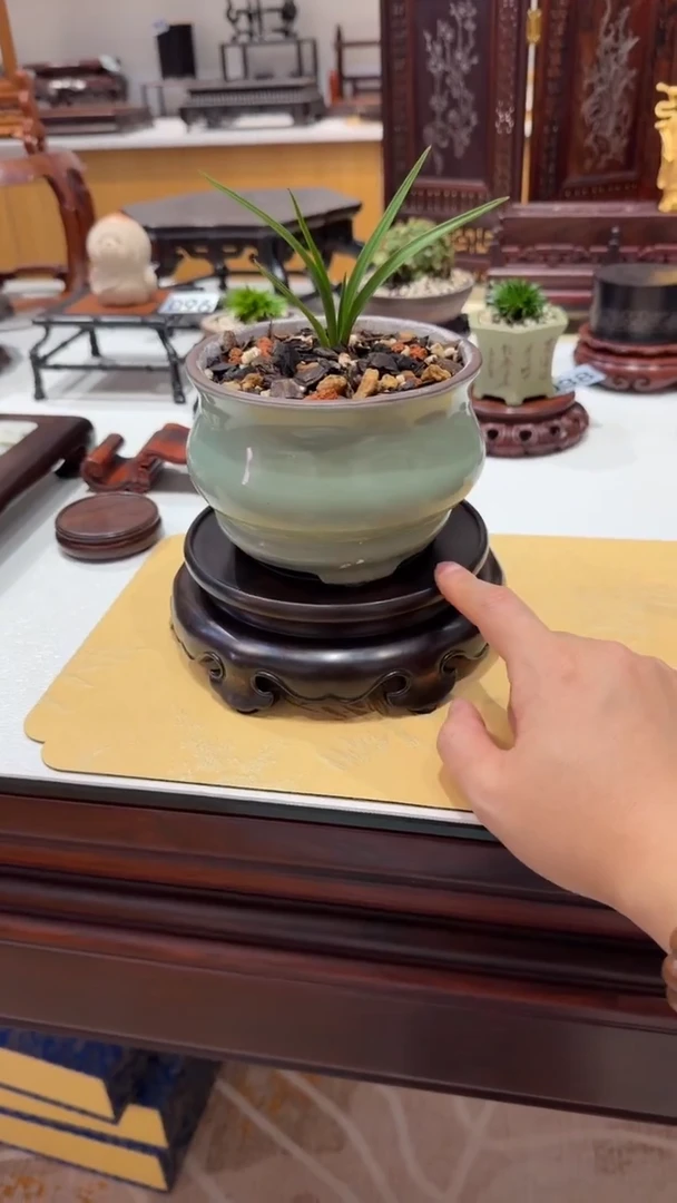 1紫砂紫砂紫砂紫砂紫砂2转