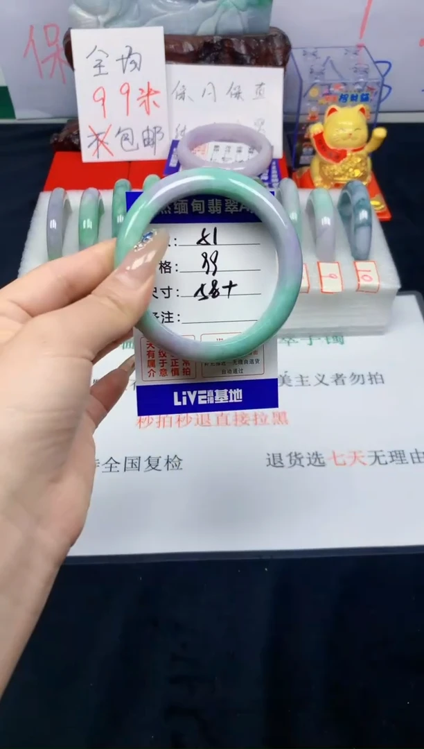 未镶嵌手镯翡翠51