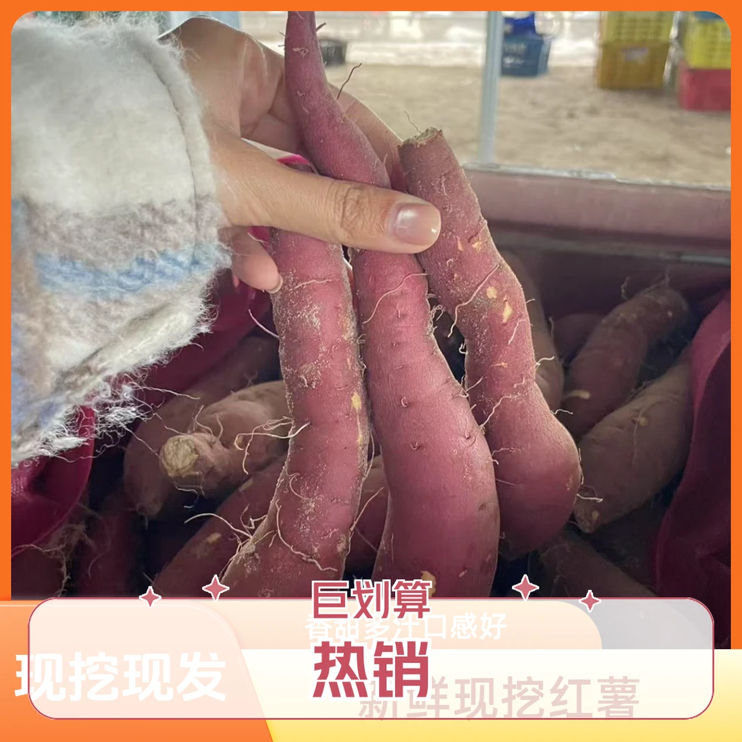 农家种植新鲜现挖现发榴莲蜜薯软糯香甜