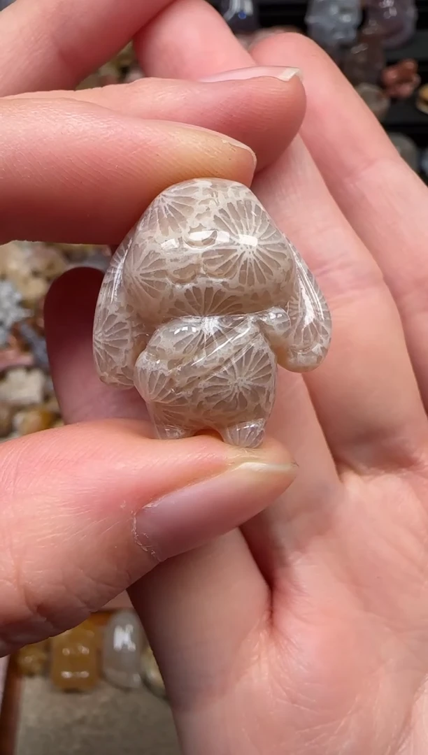 颈饰未镶嵌硅化珊瑚（珊瑚玉）167