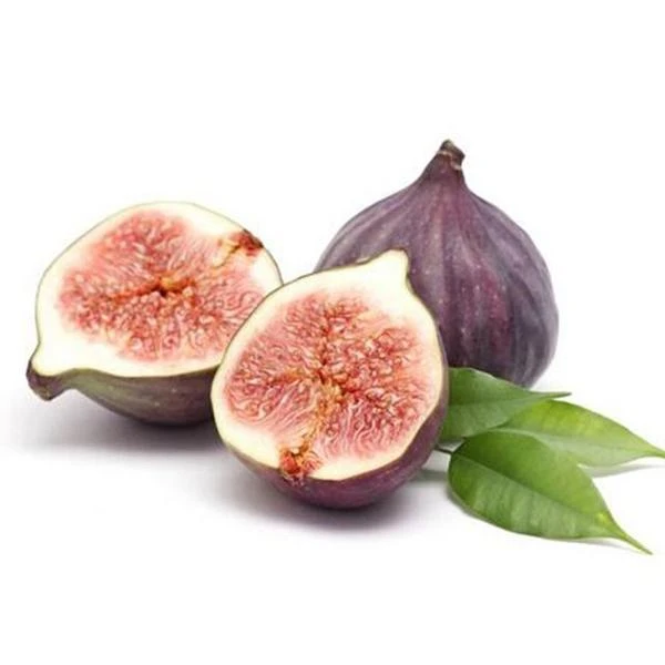 云南 尚品  无花果  300g/盒