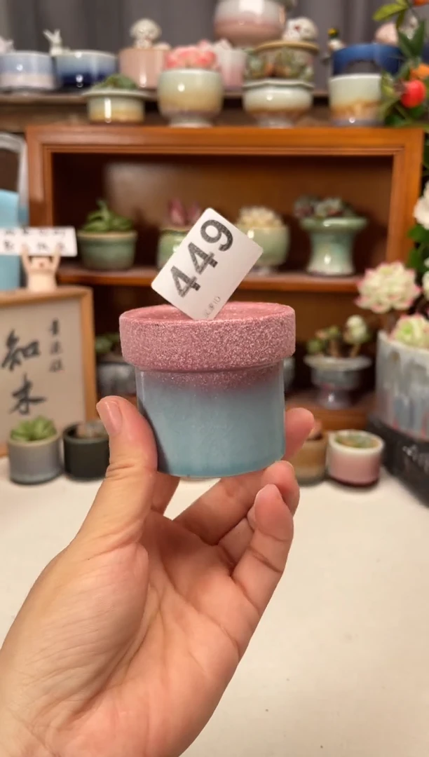 瓷片449知木小芳花盆