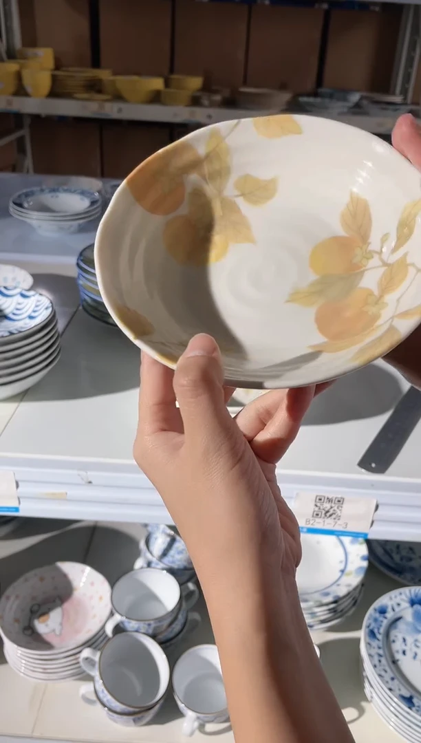 【闪购商品】瓷片TNSS55B微瑕TNSS55B微瑕