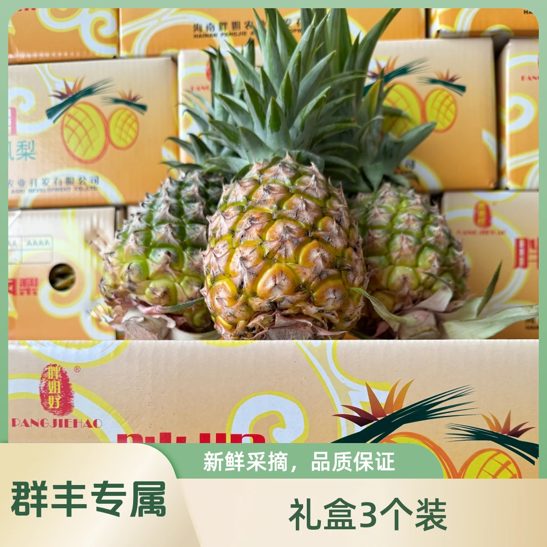 海南胖姐好凤梨礼盒三个装（净重4-4.5斤）水果同城送新鲜