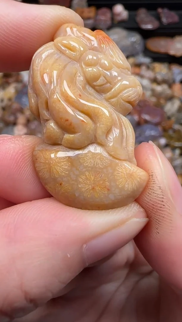硅化珊瑚（珊瑚玉）未镶嵌颈饰470