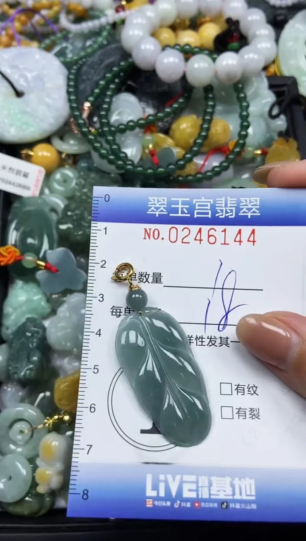 颈饰未镶嵌翡翠闪购C0246144