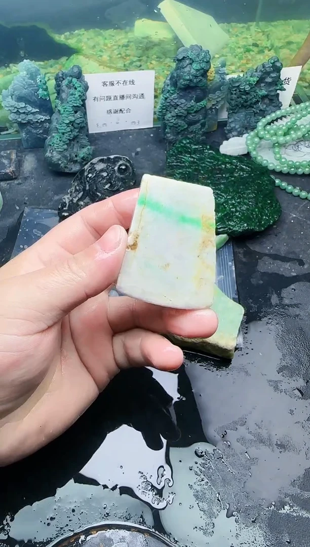 【闪购商品】翡翠颈饰未镶嵌031天然翡翠