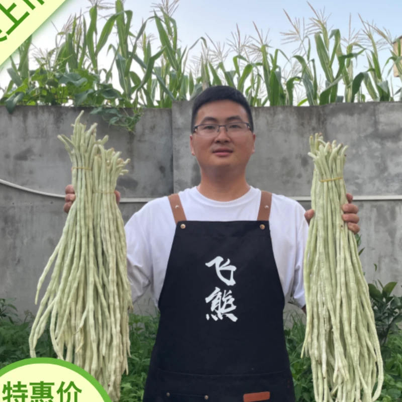 [飞熊推荐]农家古法晒制干豆角，炖煮炒拌皆成美味