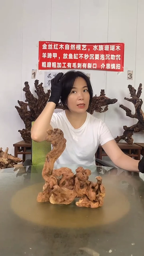香榧木涅****!金丝红木 羊蹄甲
