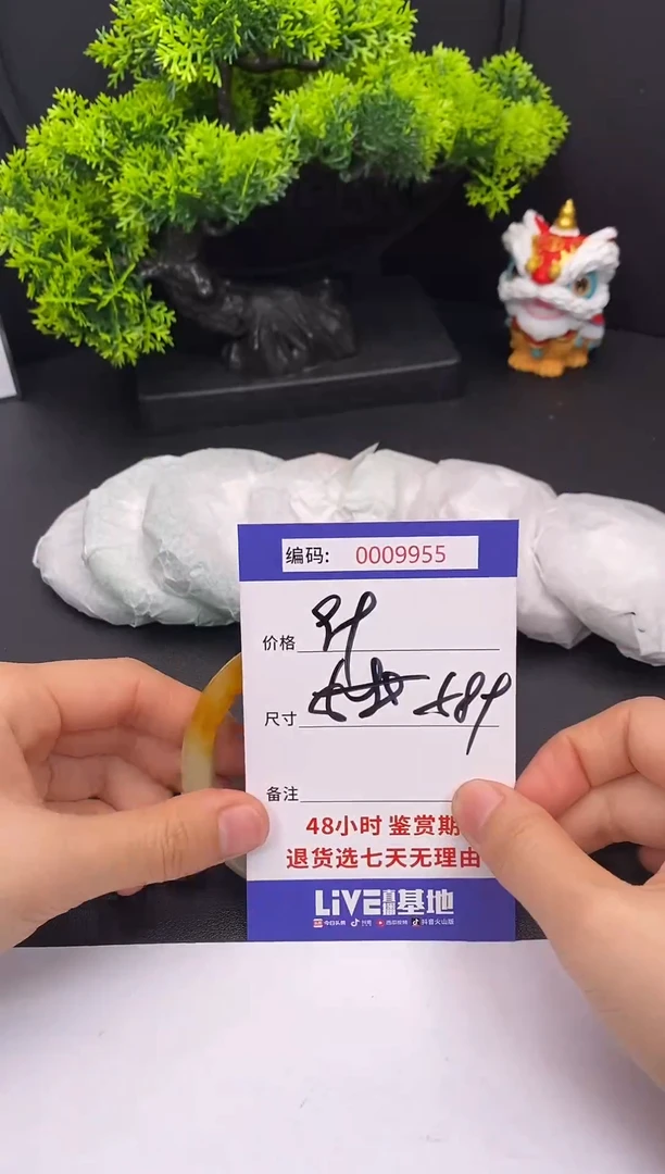 未镶嵌手镯翡翠0009955