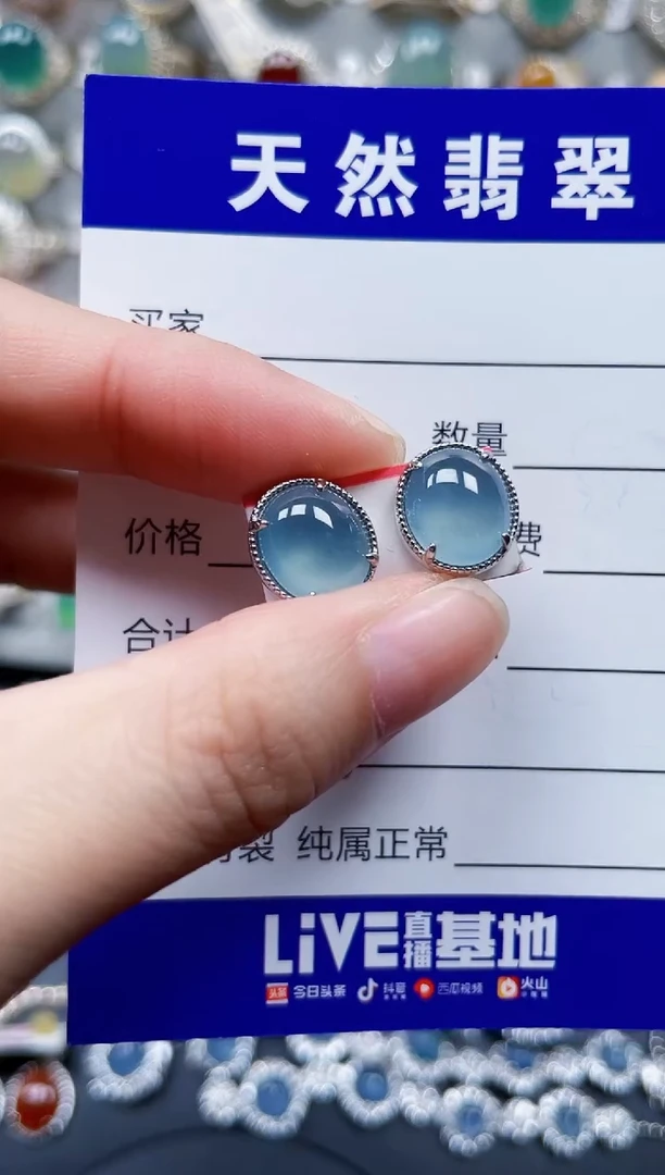 银S925镶嵌翡翠耳饰536