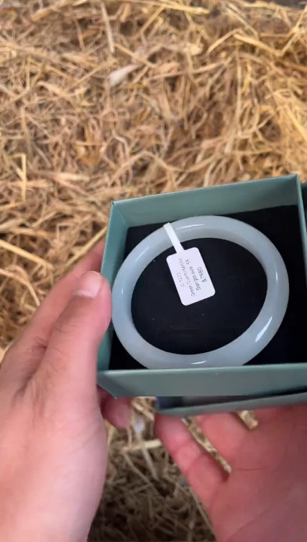 未镶嵌手镯石英质玉C-1222