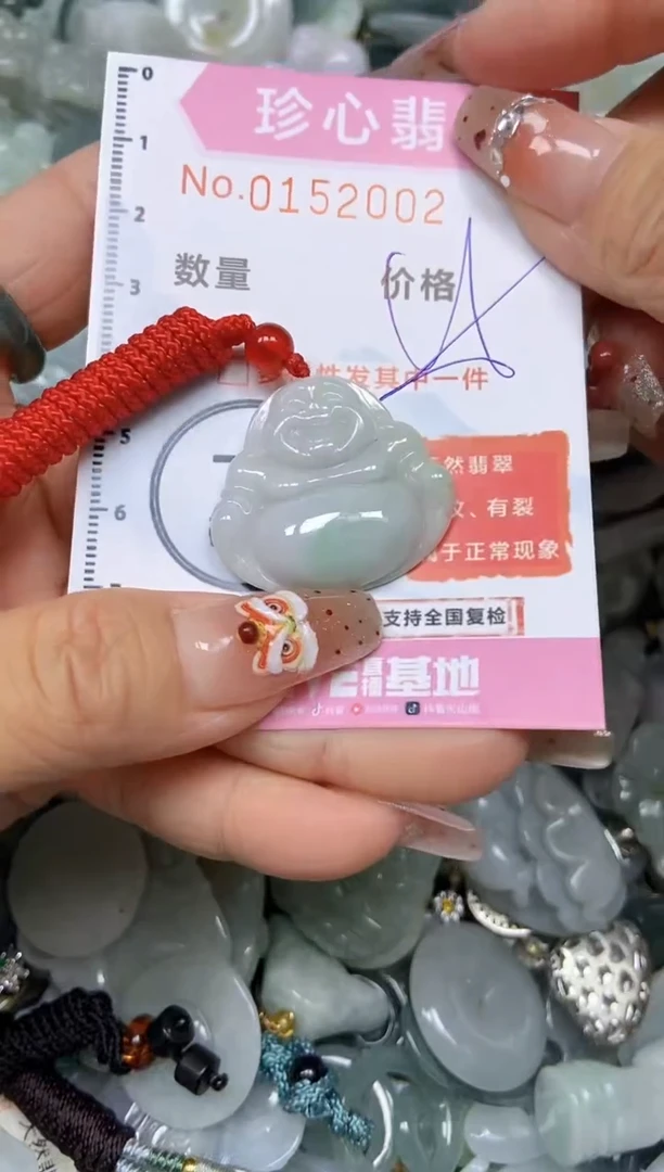 【闪购商品】翡翠颈饰未镶嵌闪购链接0152002