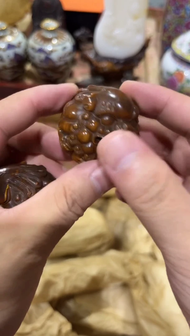 黄杨木11111111111111111