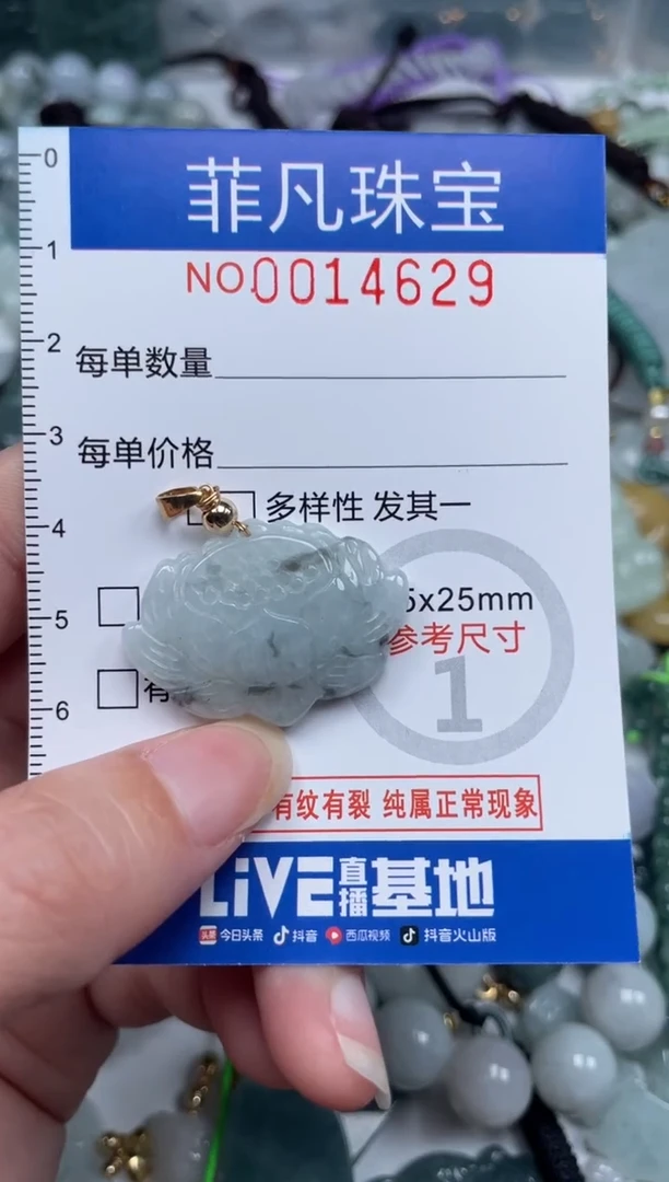 颈饰未镶嵌翡翠14629