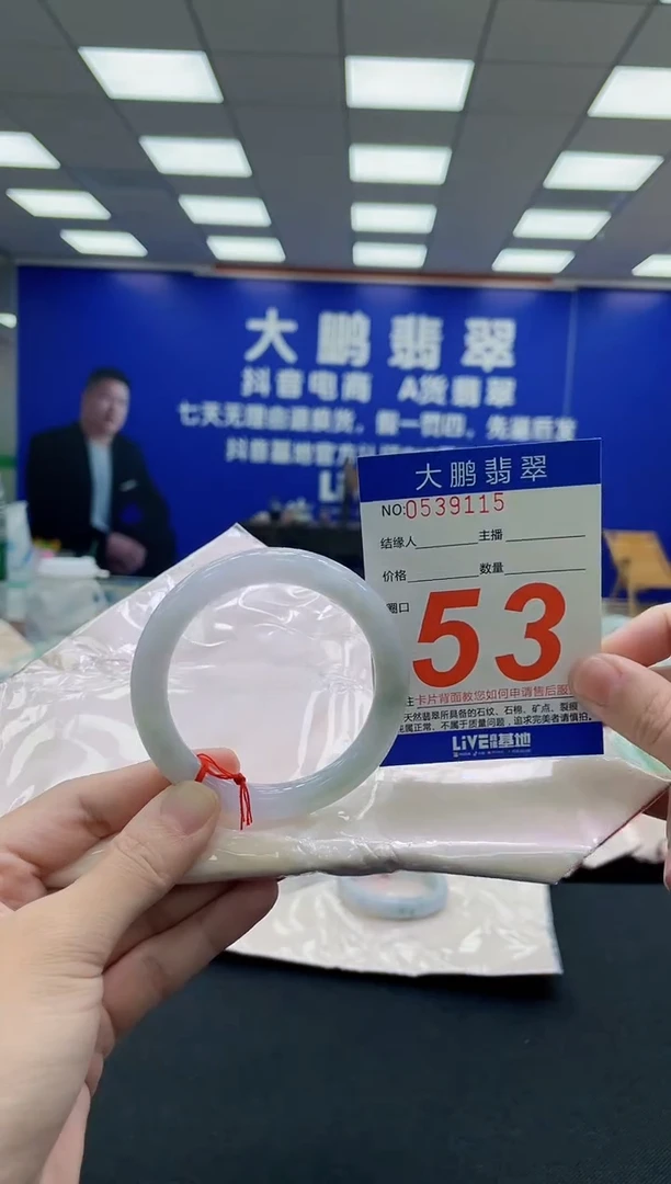 未镶嵌手镯翡翠AAAAAAAAA