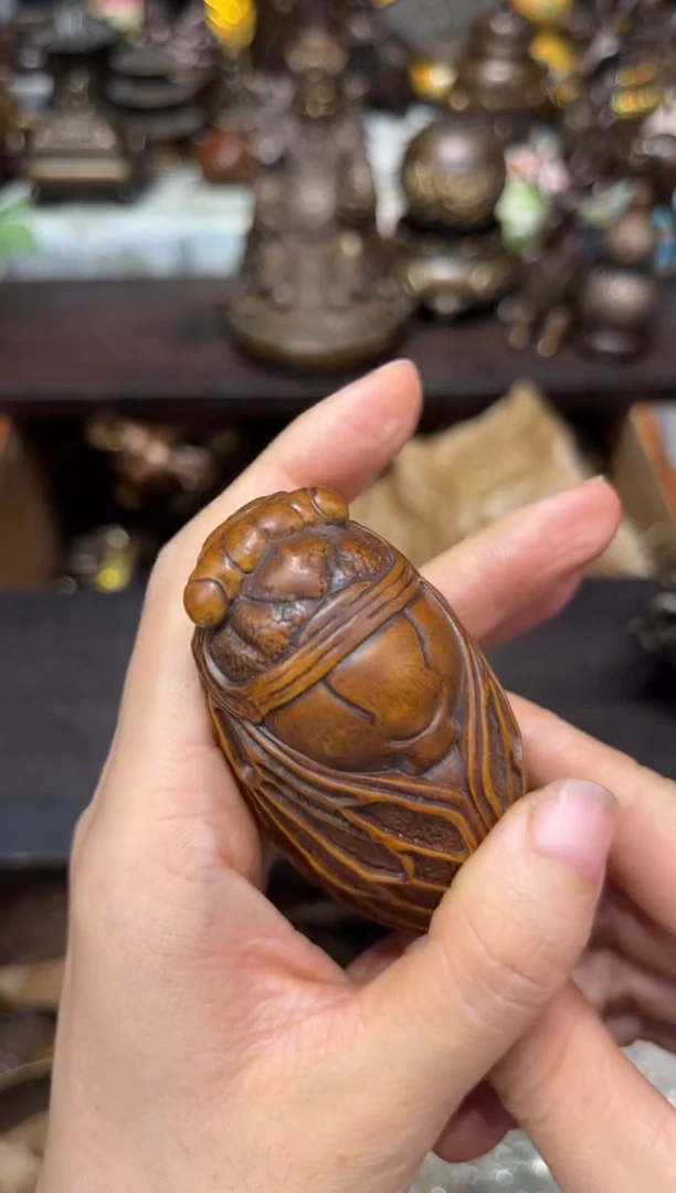 黄杨木a瑞瑞专属精选链接