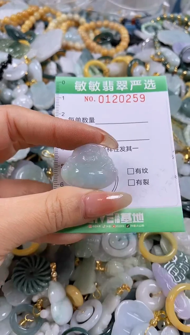 【闪购商品】翡翠颈饰未镶嵌闪购0120259