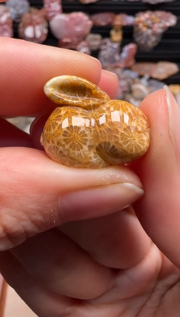 【闪购商品】硅化珊瑚（珊瑚玉）颈饰未镶嵌554