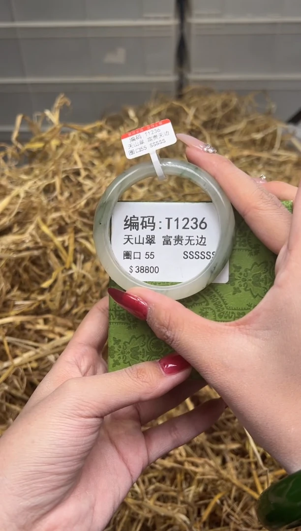 未镶嵌手镯石英质玉T1236