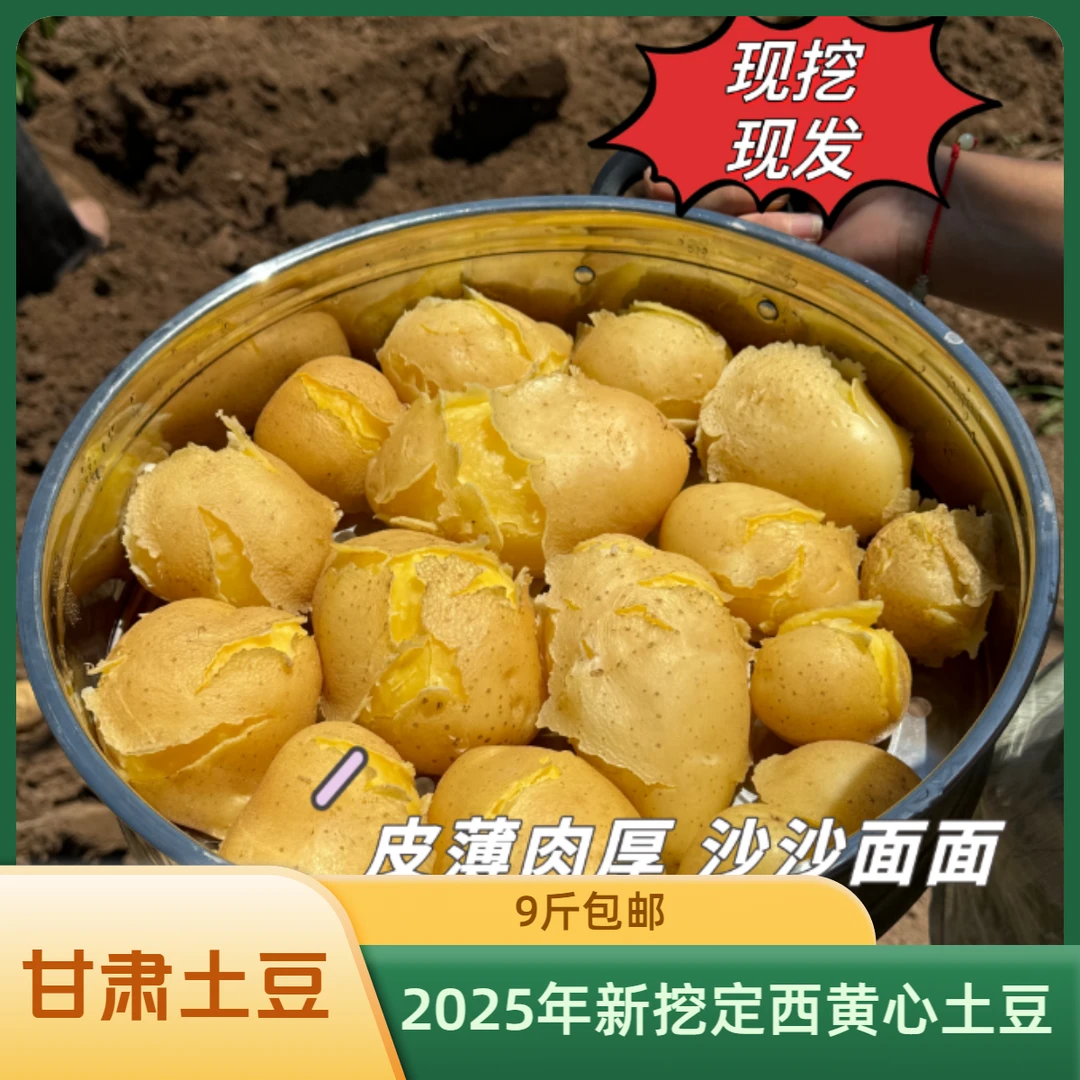 【甘肃定西黄心土豆9斤】2025年临洮新土豆9斤包邮原产地现挖现发