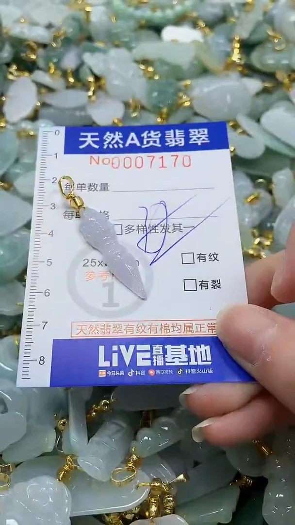 颈饰未镶嵌翡翠纯天然a货翡翠