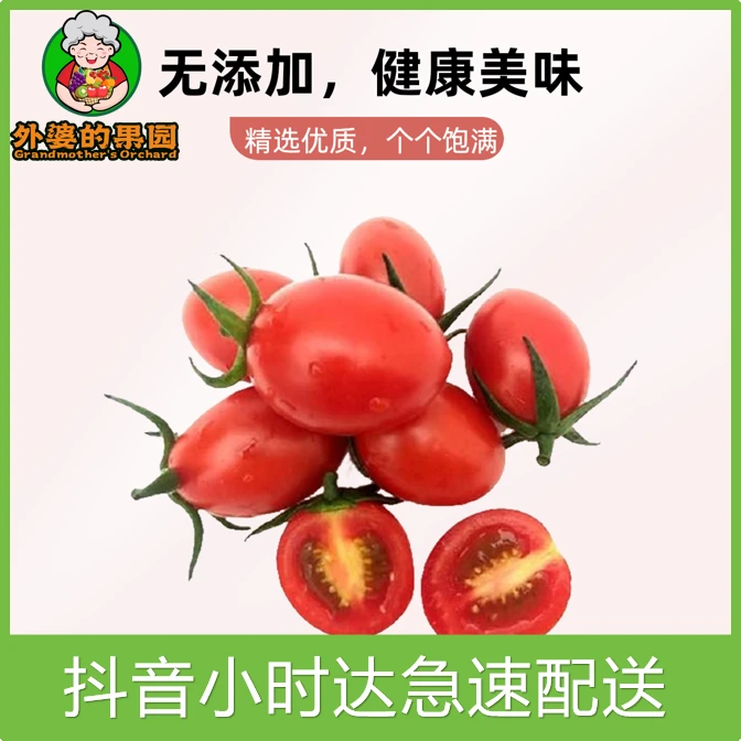 小番茄 1盒1斤装番茄同城配宁夏回族自治区银川市