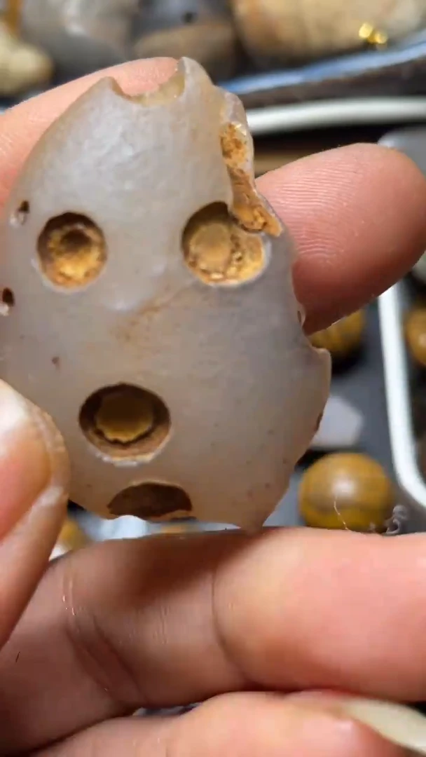 石材九眼页岩钱币石奇石236