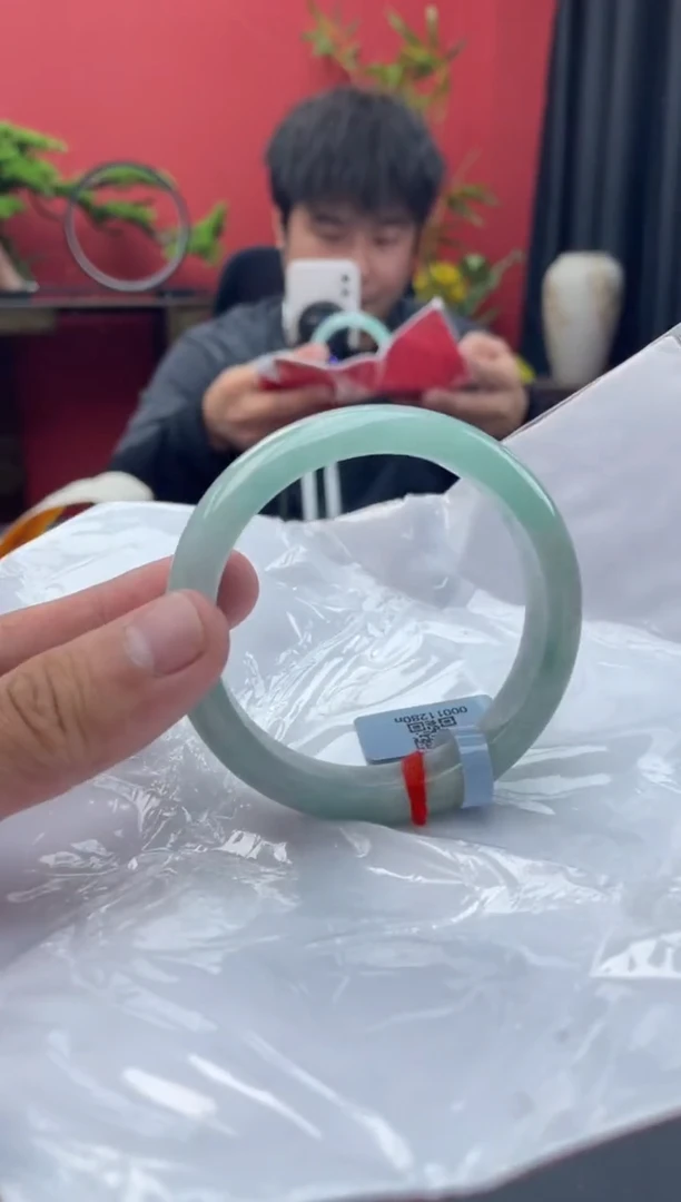 未镶嵌手镯翡翠5