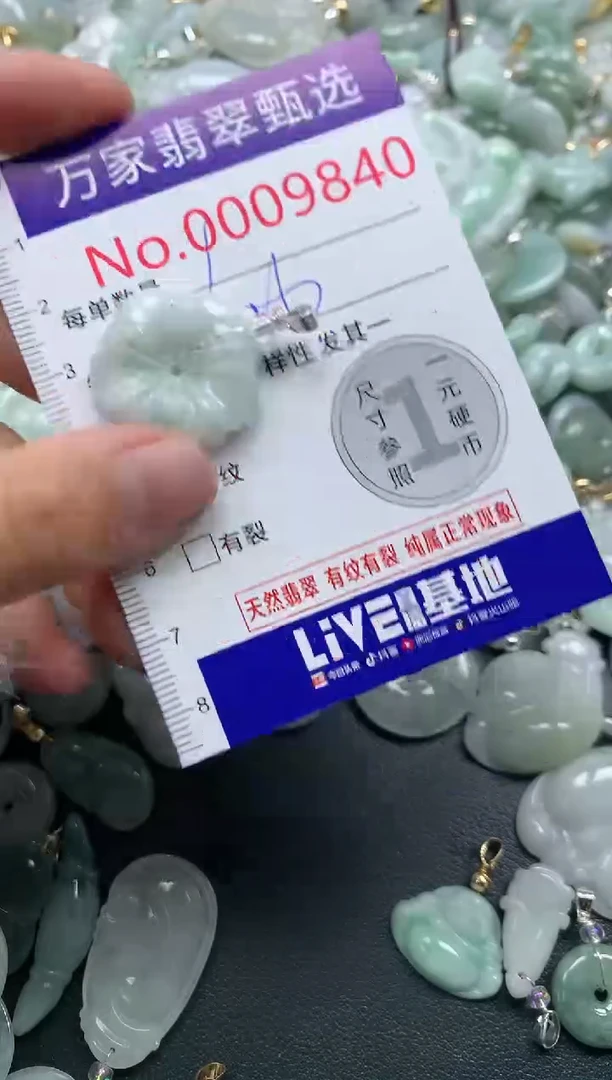 吊坠(不含链)未镶嵌翡翠9840