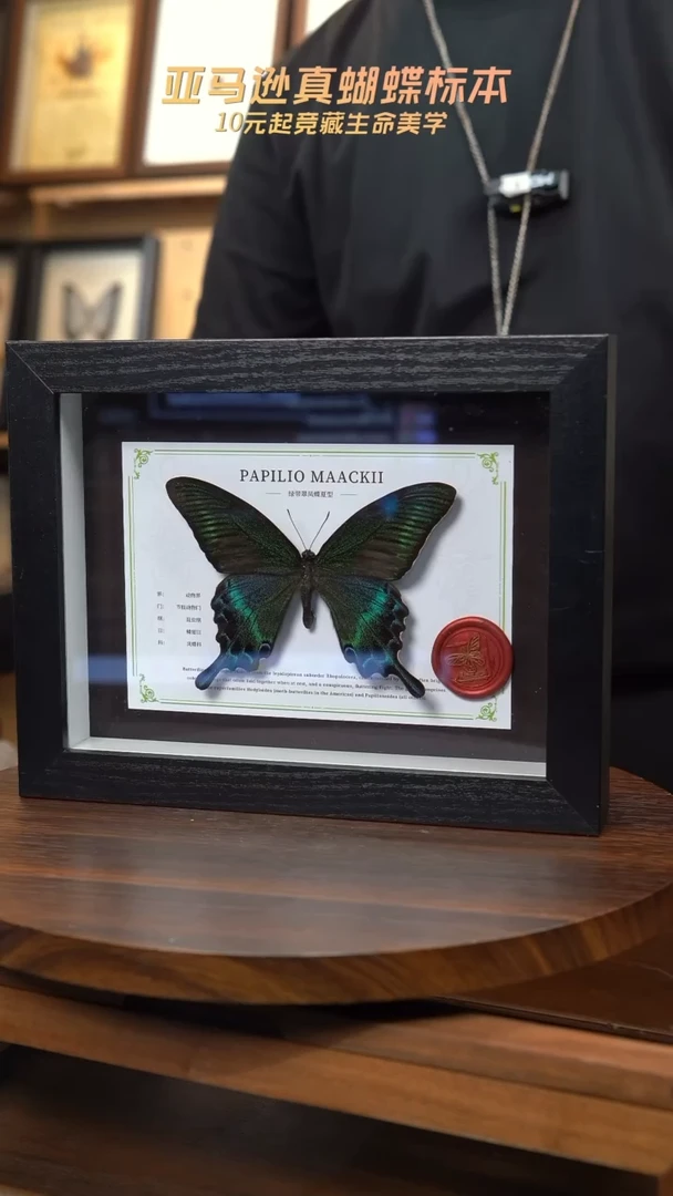 绿带翠夏国风版8寸竖