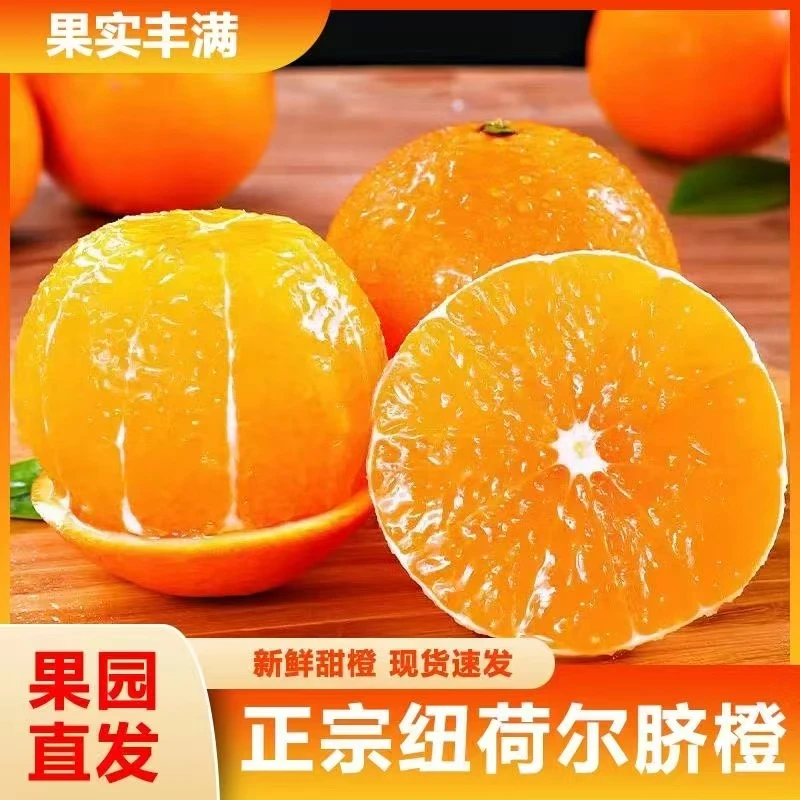 高山纽荷尔脐橙应季新鲜水果橙子