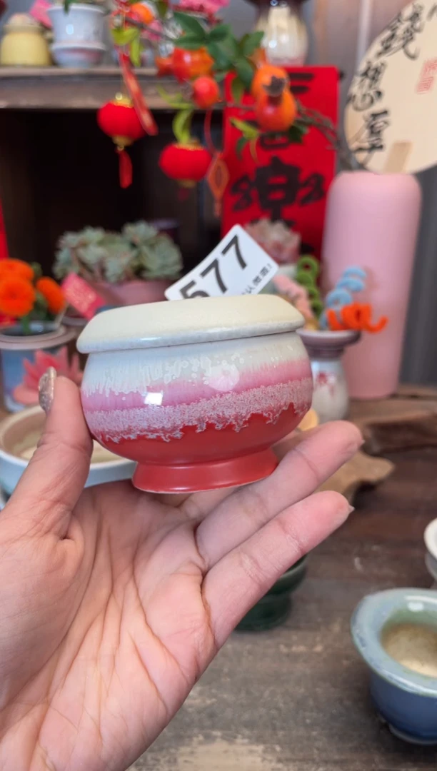 【闪购商品】摆件577小芳花盆直播编号