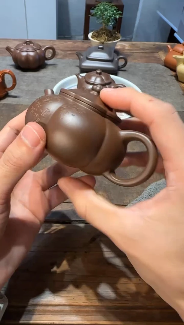 茶壶紫砂、****天大鱼海棠