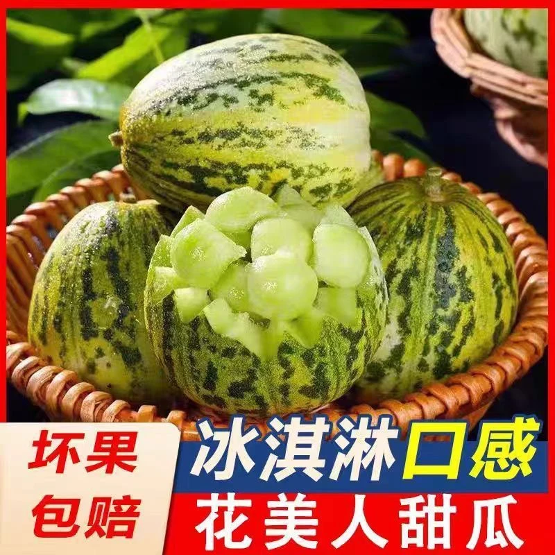 山东头茬香甜瓜当季新鲜水果香瓜3斤5斤花蕾美味蜜瓜甜瓜新鲜采摘