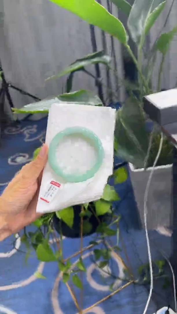 未镶嵌手镯翡翠8645****