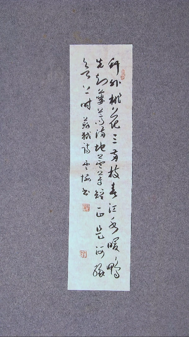 书法谭云协   宁夏 副主69*17尺寸