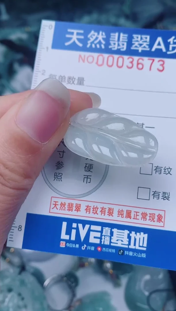 颈饰未镶嵌翡翠00003673