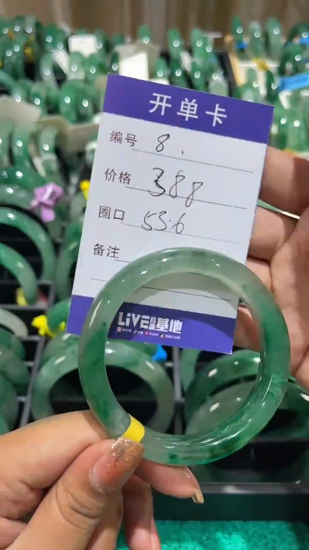 石英质玉（非洲翠）未镶嵌颈饰手镯