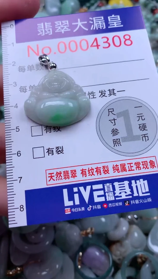 翡翠未镶嵌吊坠(不含链)4308