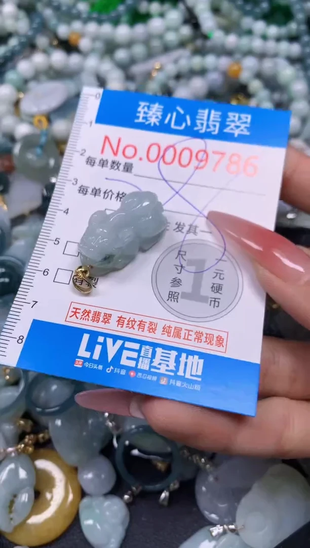 【闪购商品】翡翠颈饰未镶嵌含绳0009786